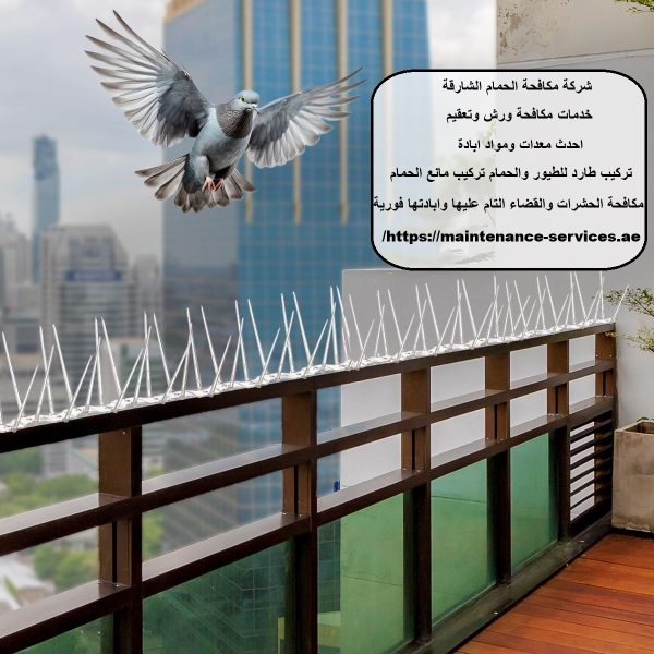 شركة مكافحة الحمام الشارقة