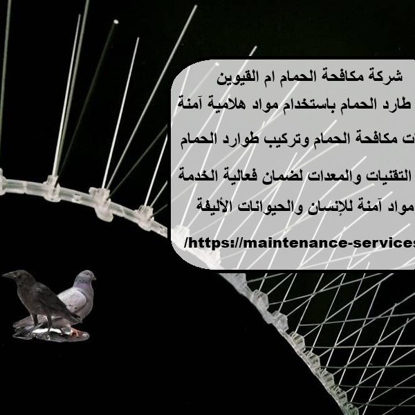 شركة مكافحة الحمام ام القيوين