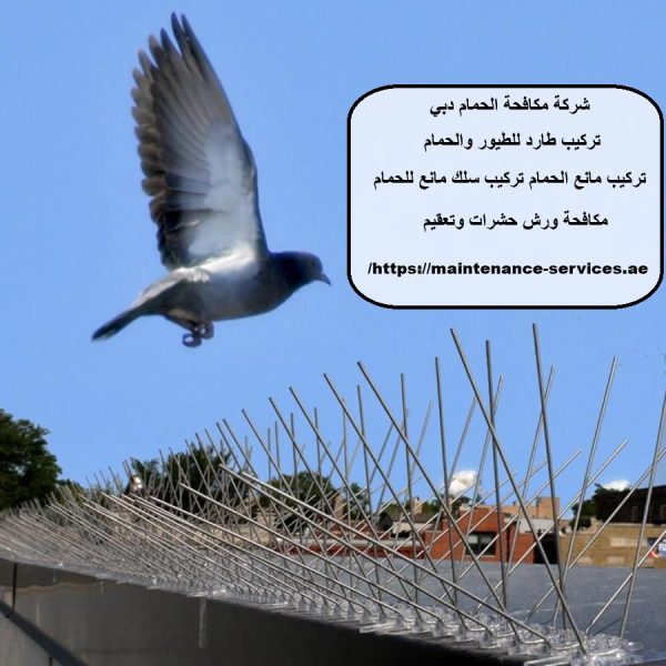 شركة مكافحة الحمام دبي