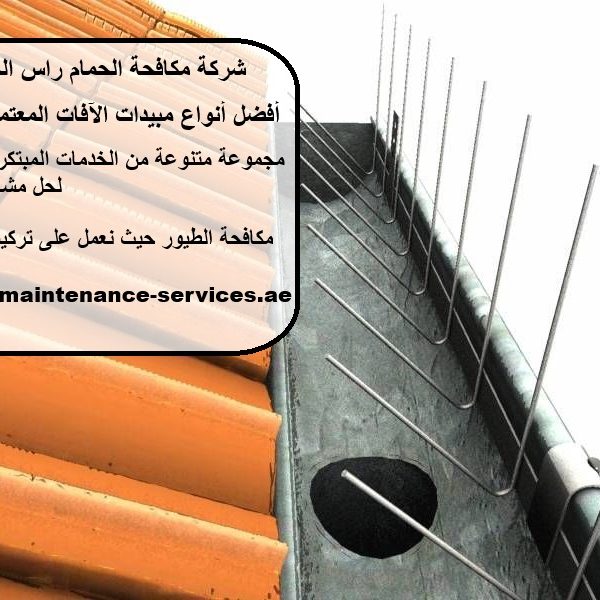 شركة مكافحة الحمام راس الخيمة